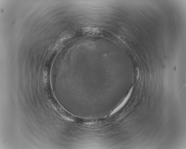 X0000056330708200509092328