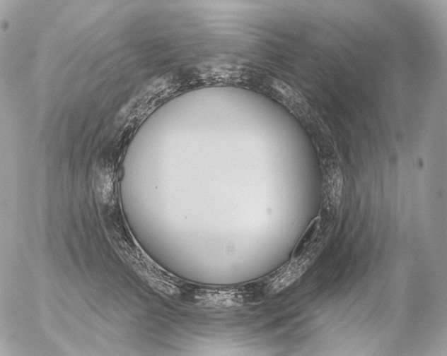 X0000056330709200509092328