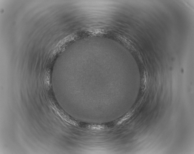 X0000056330710200509092328