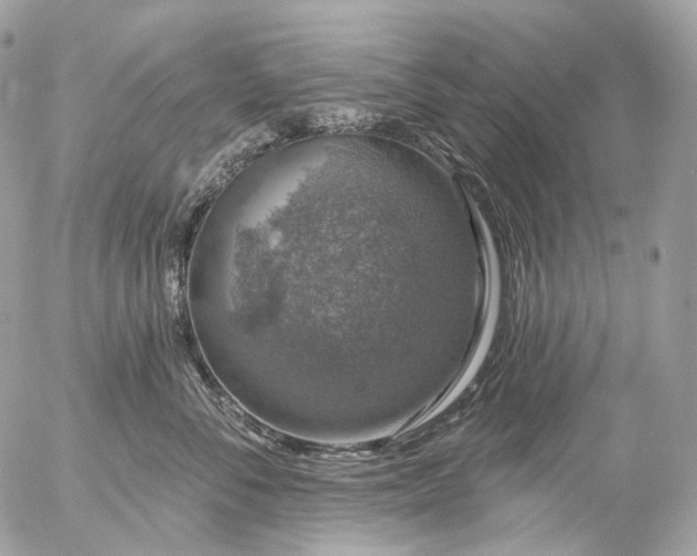 X0000056330716200509092328