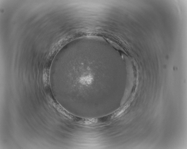 X0000056330720200509092328