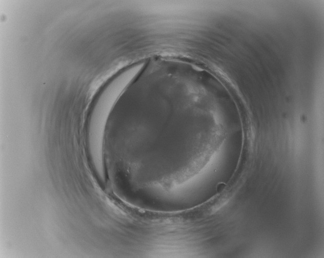 X0000056330721200509092327