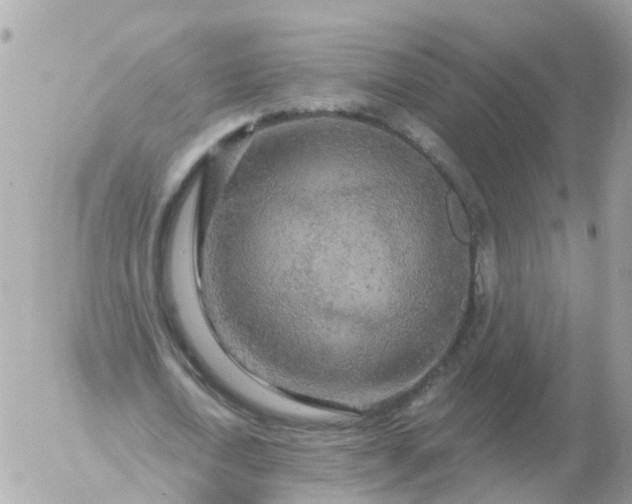 X0000056330722200509092327