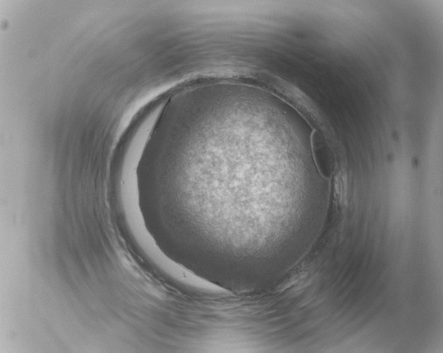 X0000056330724200509092327