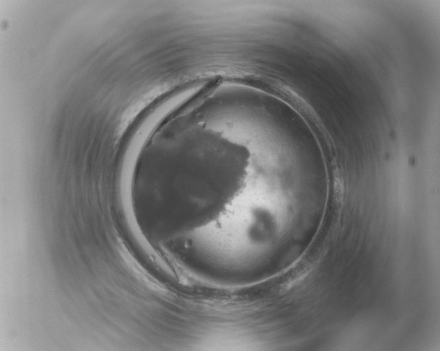 X0000056330725200509092327