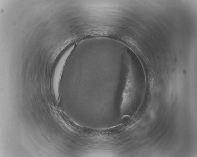 X0000056330729200509092327