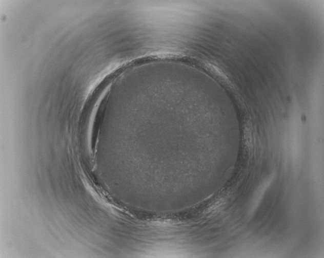 X0000056330730200509092327