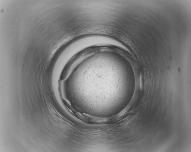 X0000056330731200509092327