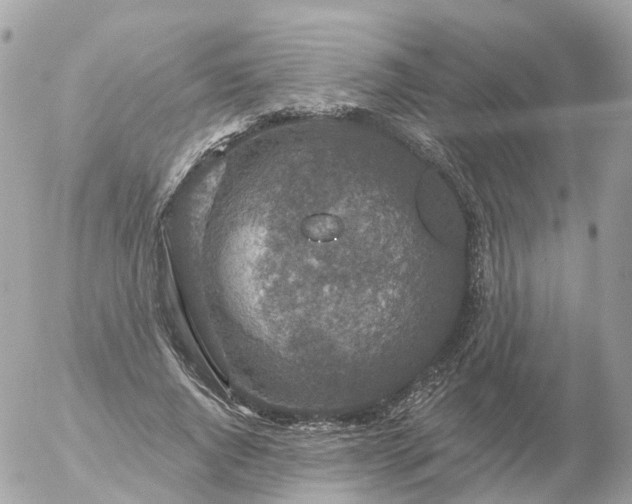 X0000056330736200509092328