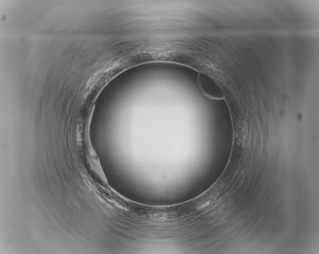 X0000056330740200509092328