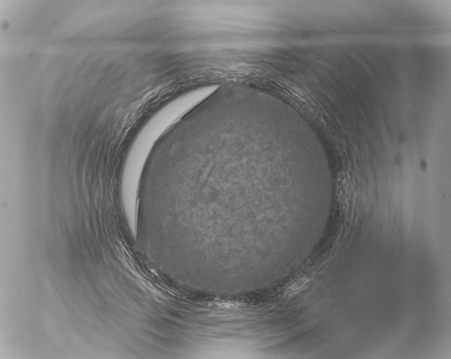 X0000056330741200509092328