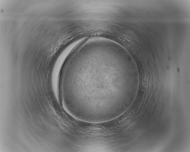 X0000056330743200509092328