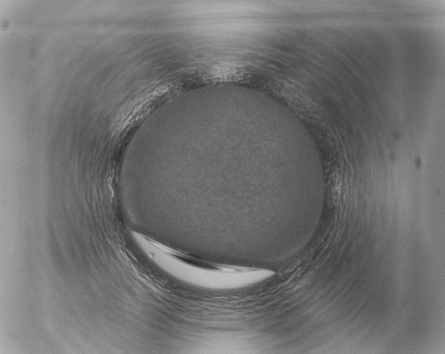 X0000056330746200509092328