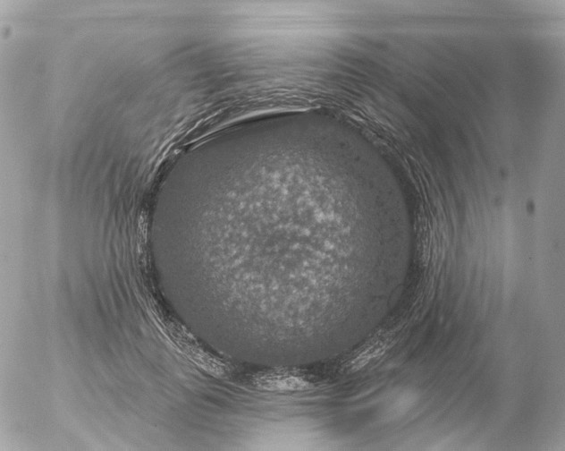 X0000056330747200509092328