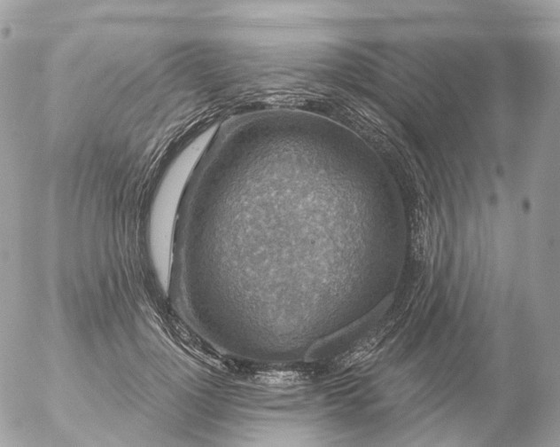 X0000056330748200509092328