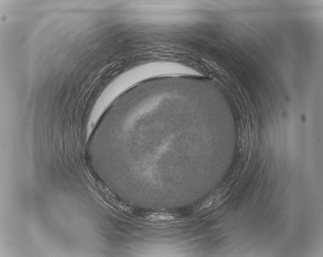 X0000056330749200509092328