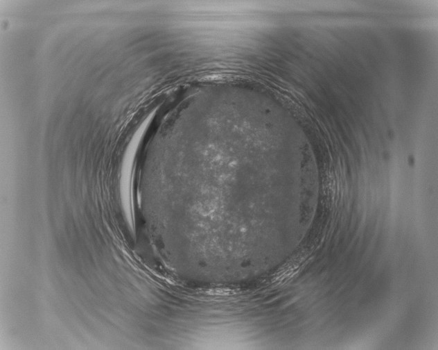 X0000056330751200509092328