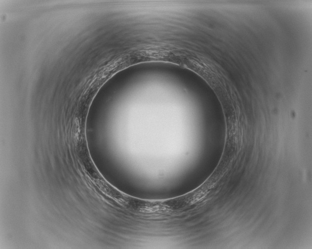 X0000056330752200509092328