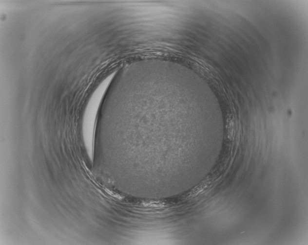 X0000056330753200509092328