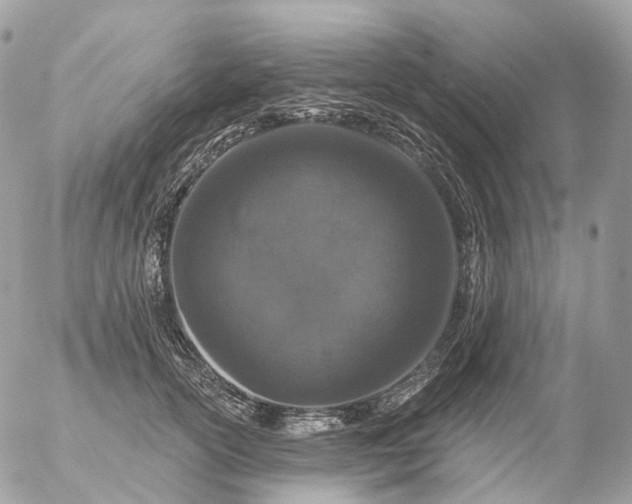 X0000056330754200509092328