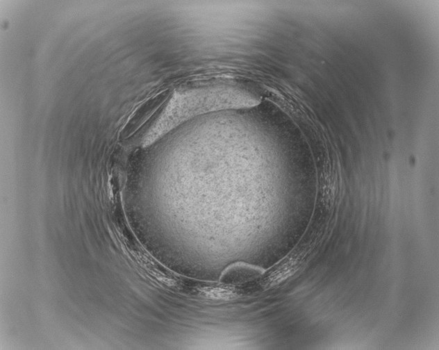 X0000056330755200509092328