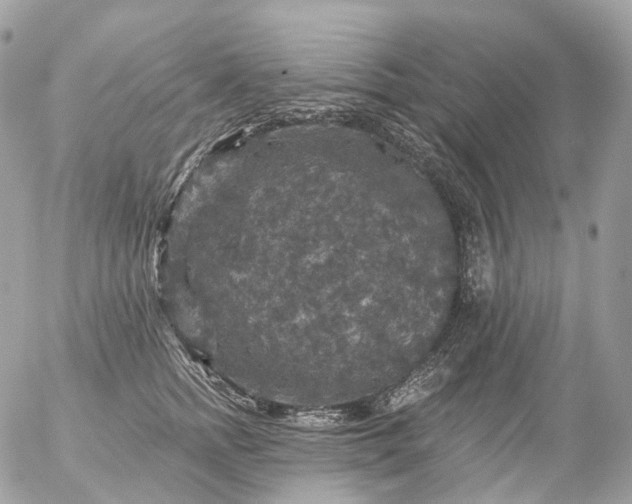 X0000056330758200509092328