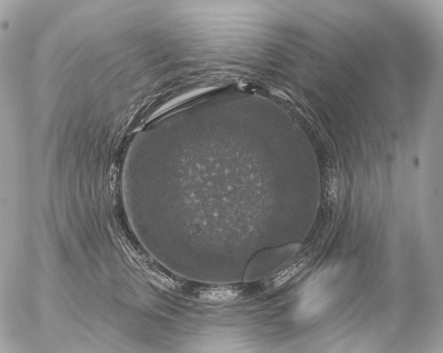 X0000056330759200509092328