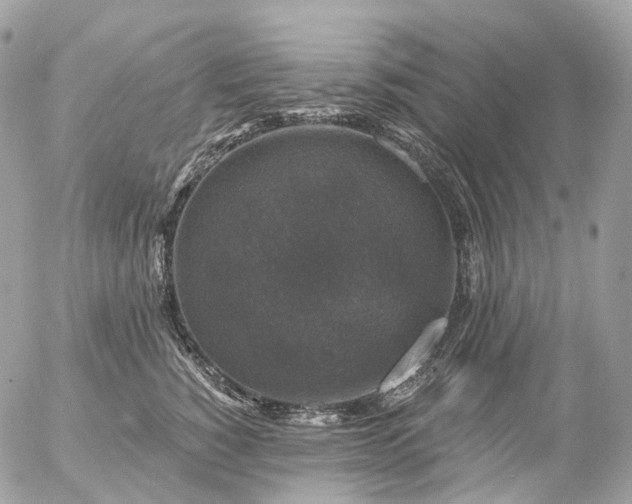 X0000056330760200509092328