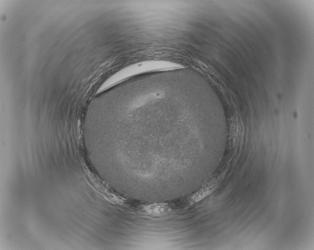 X0000056330761200509092328