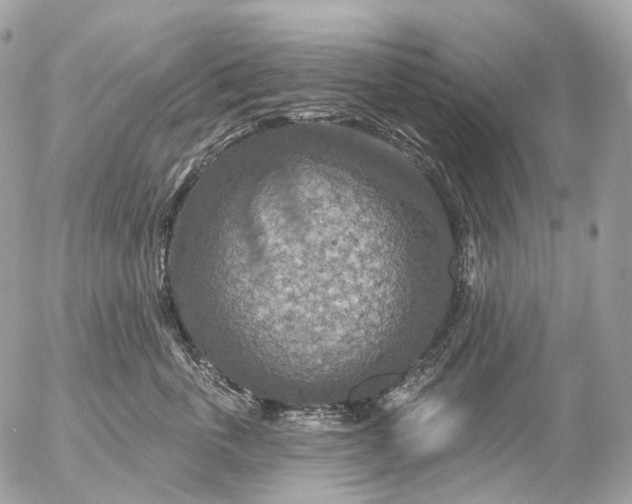 X0000056330763200509092328