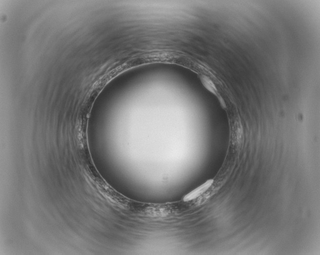 X0000056330764200509092328