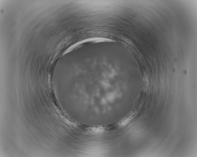 X0000056330765200509092328