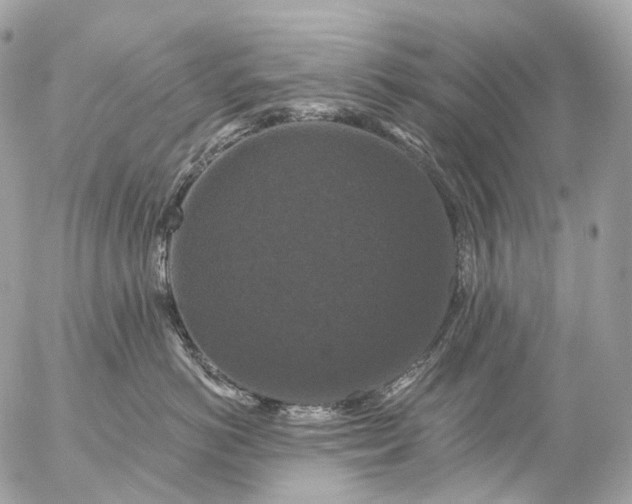 X0000056330766200509092328