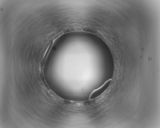 X0000056330768200509092328