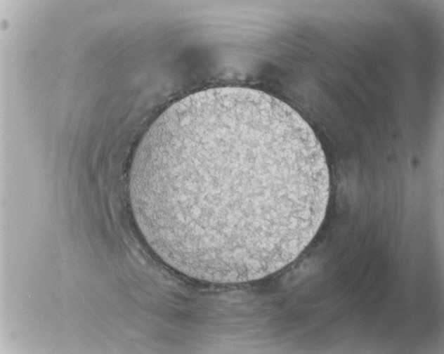 X0000056330769200509092327