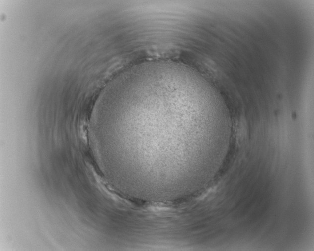 X0000056330770200509092327