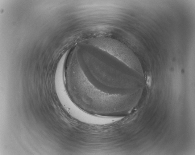 X0000056330771200509092327