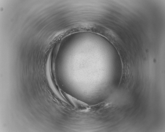 X0000056330773200509092327