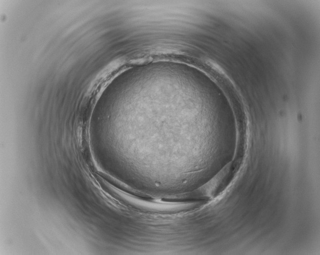 X0000056330777200509092327