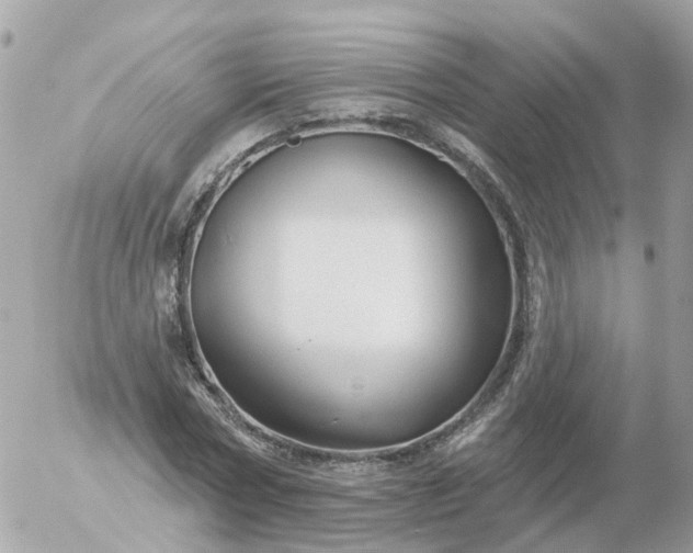 X0000056330778200509092327