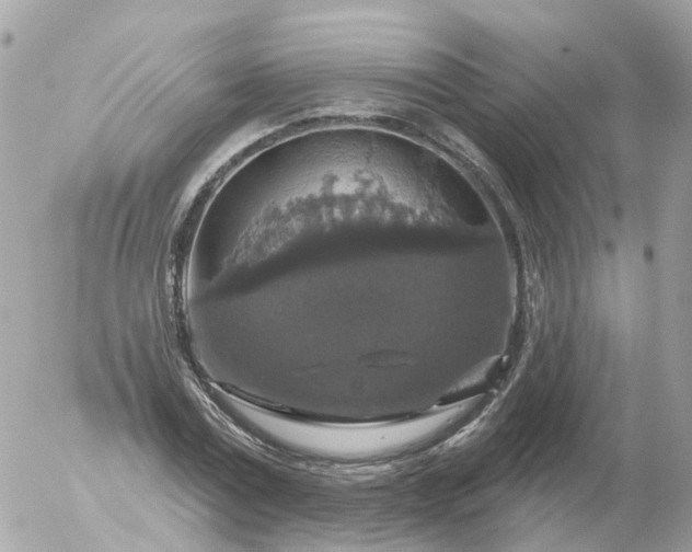 X0000056330779200509092327