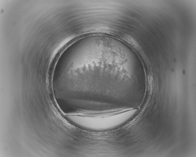 X0000056330780200509092327