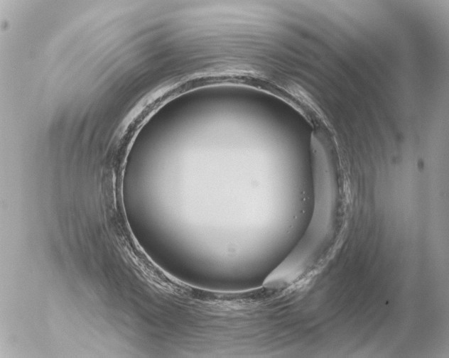 X0000056330781200509092327