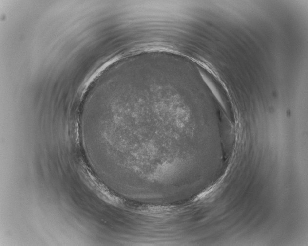 X0000056330782200509092327