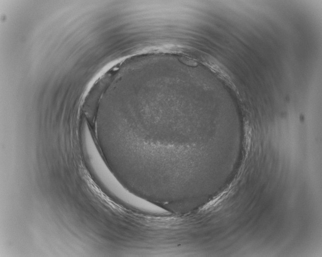 X0000056330784200509092327