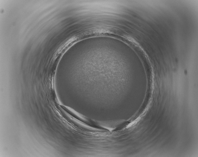 X0000056330785200509092327