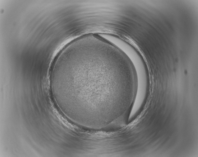 X0000056330787200509092327