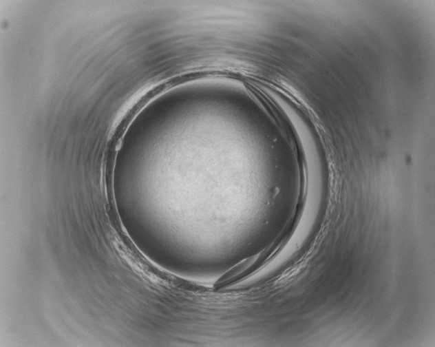 X0000056330788200509092327