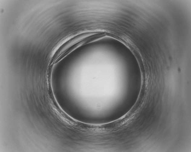 X0000056330789200509092327