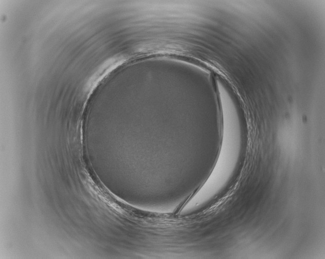 X0000056330790200509092327